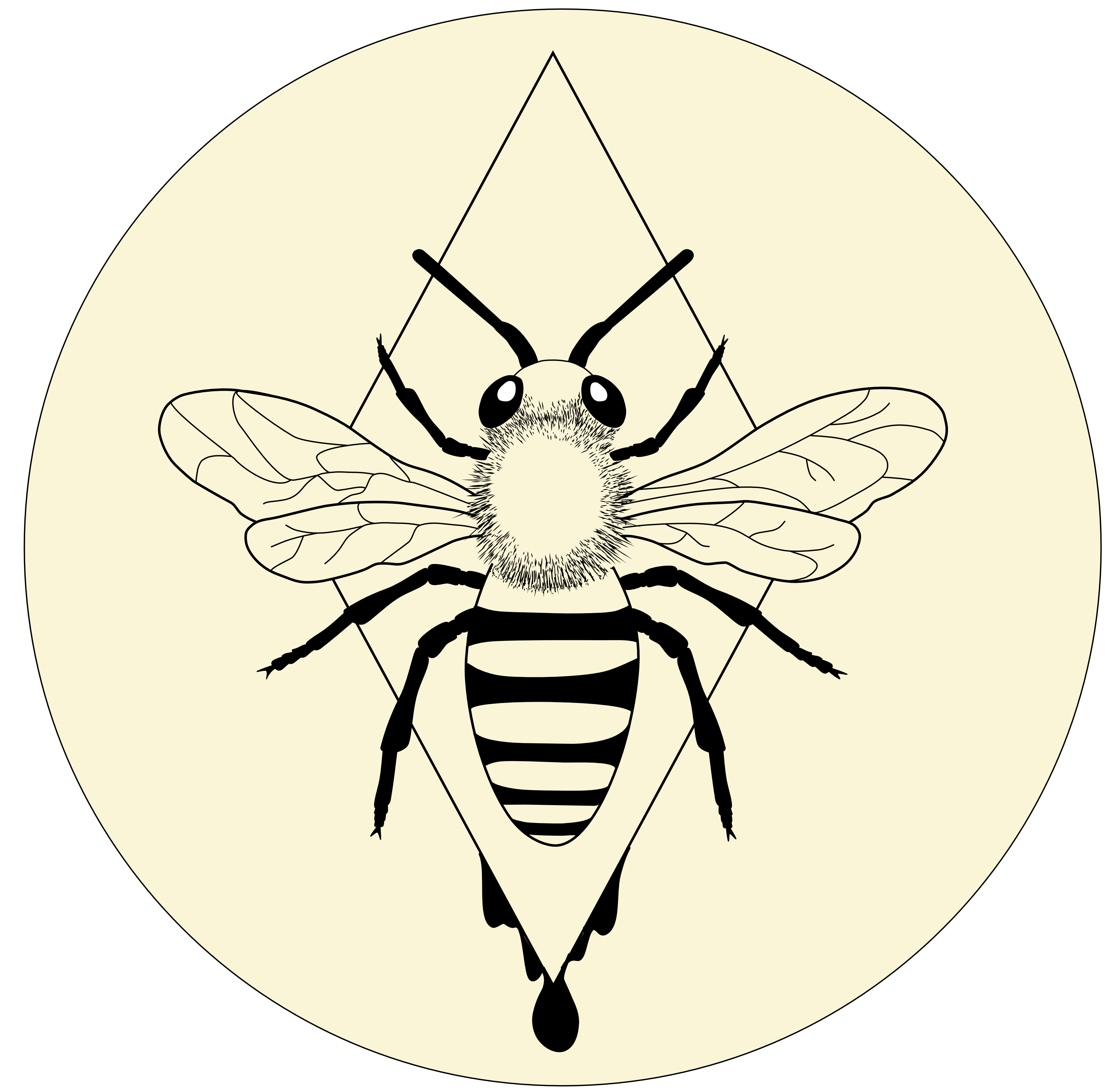 Caros Bienen und Honig